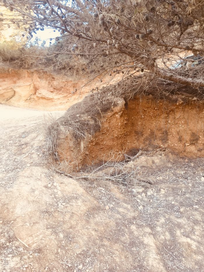 Cala Bonita Restaurant Ibiza